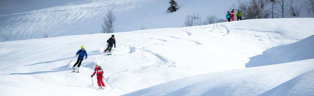 Cours privés de Ski Nordique Classique ou Skating