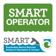Akaroa Dolphins | Harbour Nature Cruises