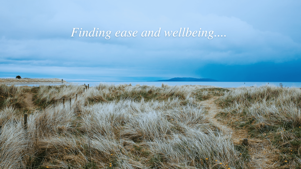Mindfulness Teacher Training