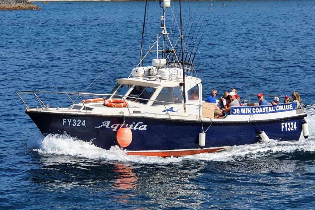 Sea Fishing from Mevagissey Cornwall