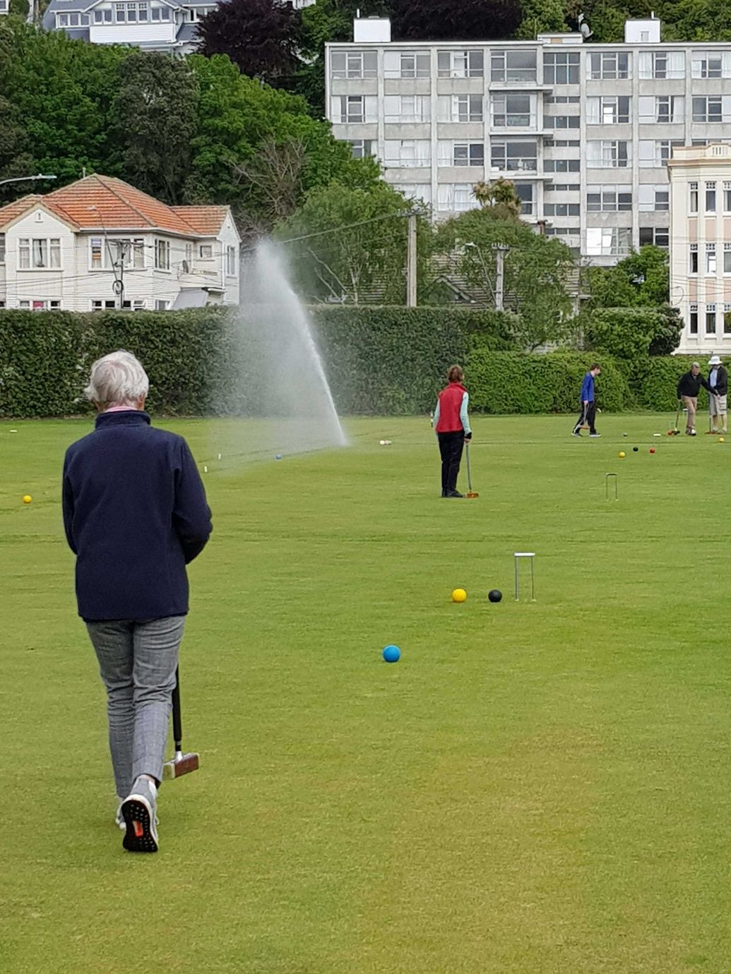 Social Croquet Events at Kelburn