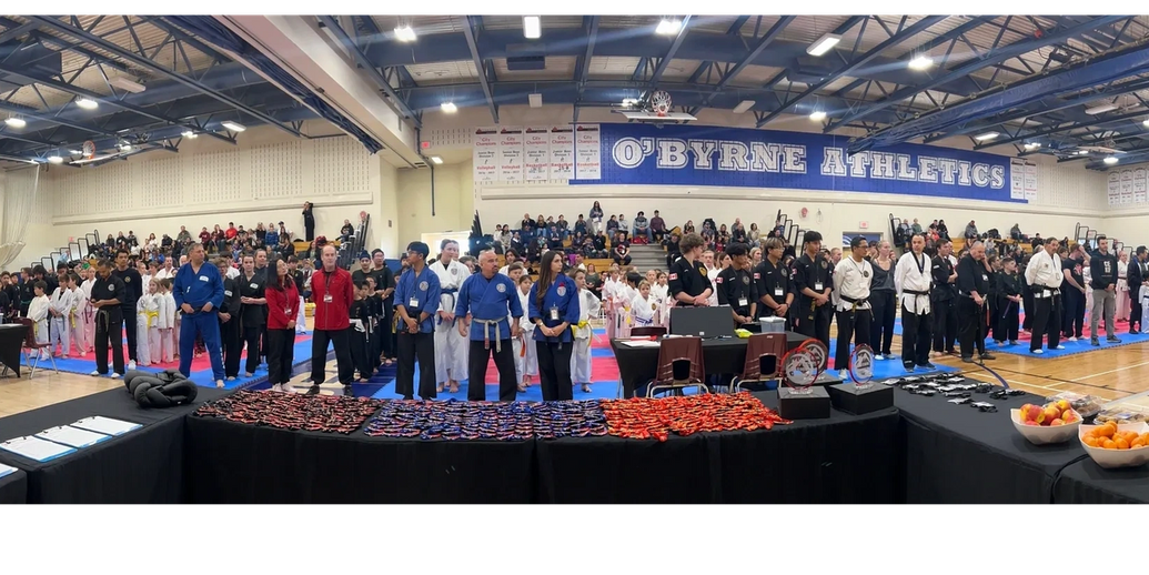 2024 Summit Open Martial Arts Challenge