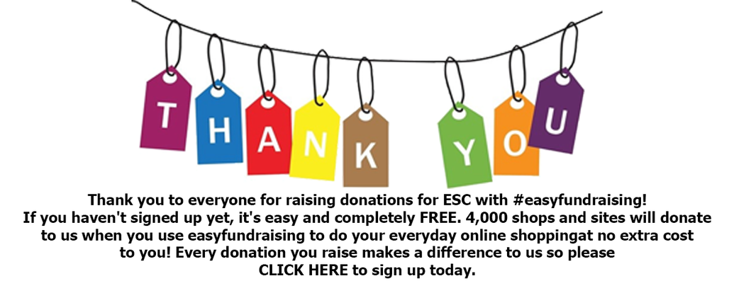 ESC Level 4 Invitational